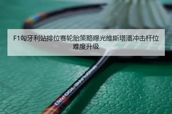F1匈牙利站排位赛轮胎策略曝光维斯塔潘冲击杆位难度升级